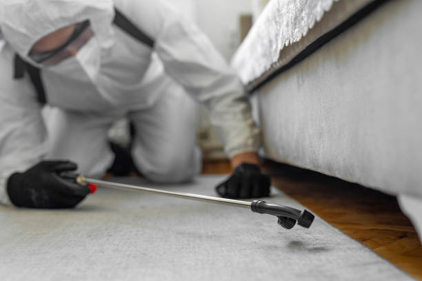Professional Termite Control technician working in Culver, IN