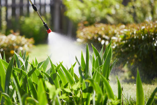 24/7 Emergency Termite Control experts in Culver, IN
