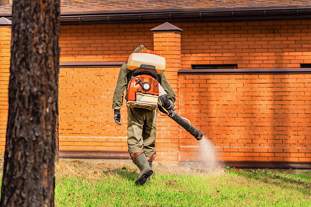 Top rated local Termite Control specialists in Culver, IN